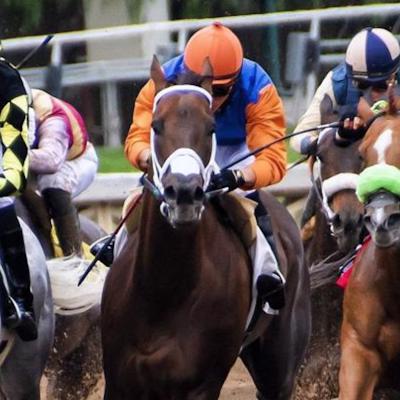 Horsestips 